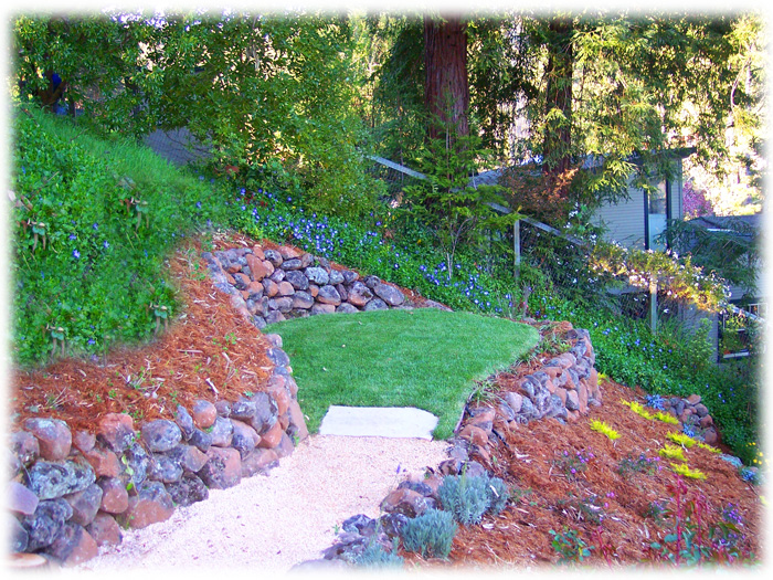 Tam Valley Landscape Design and Installation