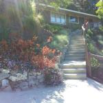 Colorful Plantings in Marin Image 14