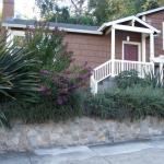 Deer Resistant Plantings in Marin Image 26