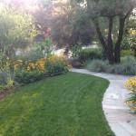 Deer Resistant Plantings in Marin Image 7