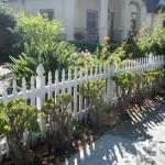 Fences, Gates and Arbors in Marin Image 17