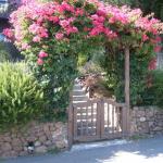 Fences, Gates and Arbors in Marin Image 47