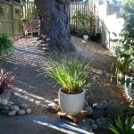 Planters and Pots in Marin Image 18