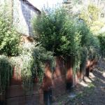 Retaining Walls in Marin Image 19