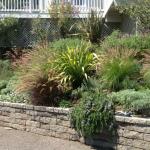 Retaining Walls in Marin Image 32