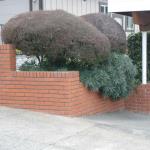 Retaining Walls in Marin Image 45