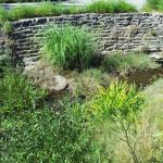 Retaining Walls in Marin Image 2